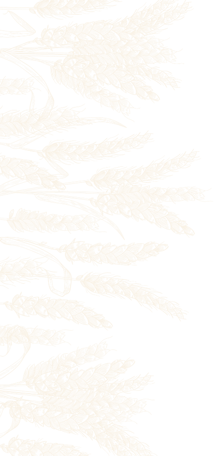 grains-image